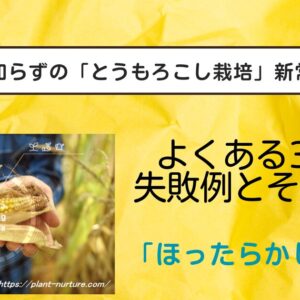 とうもろこし栽培をほったらかしで作る